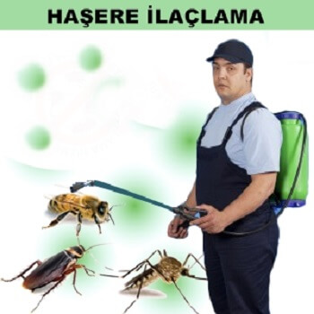 Mutki Böcek İlaçlama